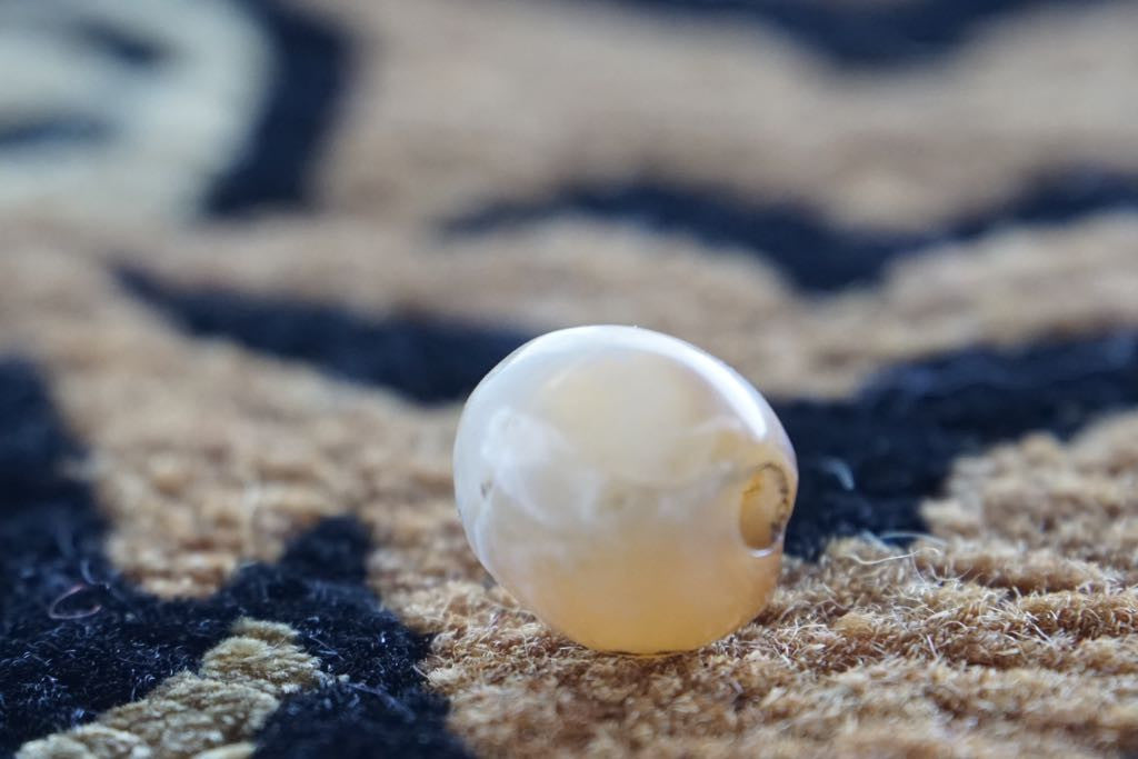 Ancient Indo Tibetan Chung dzi bead AT-16